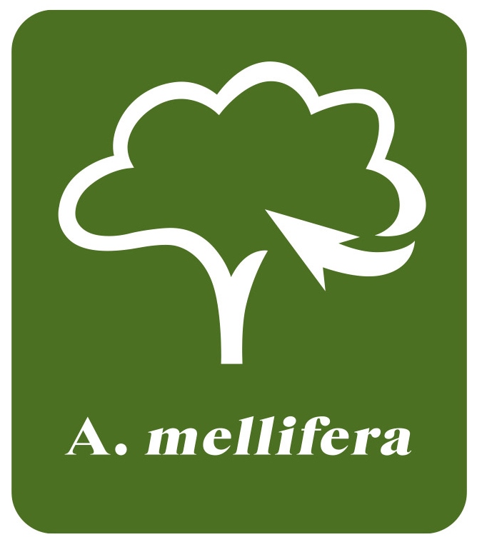 a. mellifera_recortada.jpg